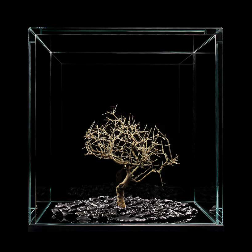 bonsai-keyboard-buttons-meimorettini-artwork-artists