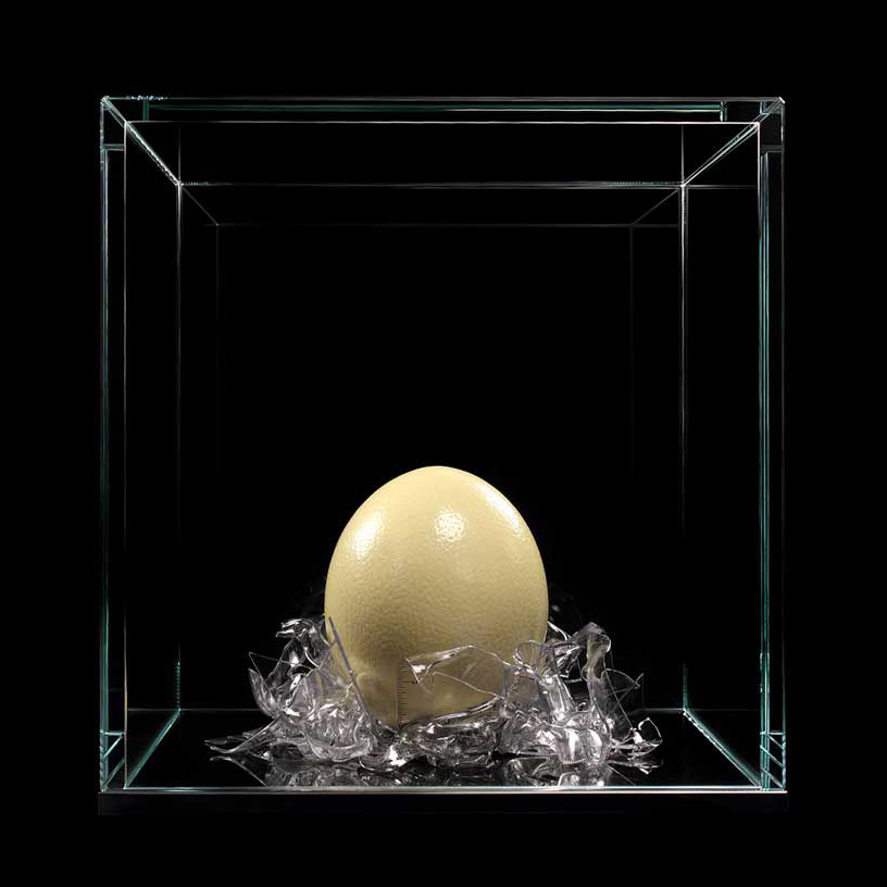 egg-squares-meimorettini-artwork-artists